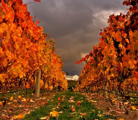 电话在线轰炸网页版