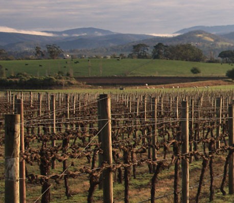 批发价格优惠的呼死你在线使用